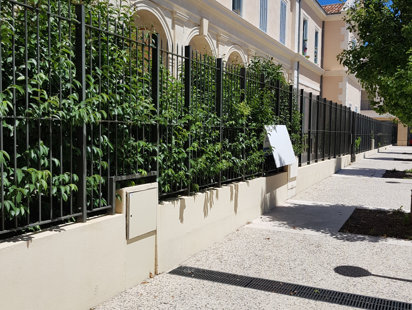 Entretien espaces verts marseille